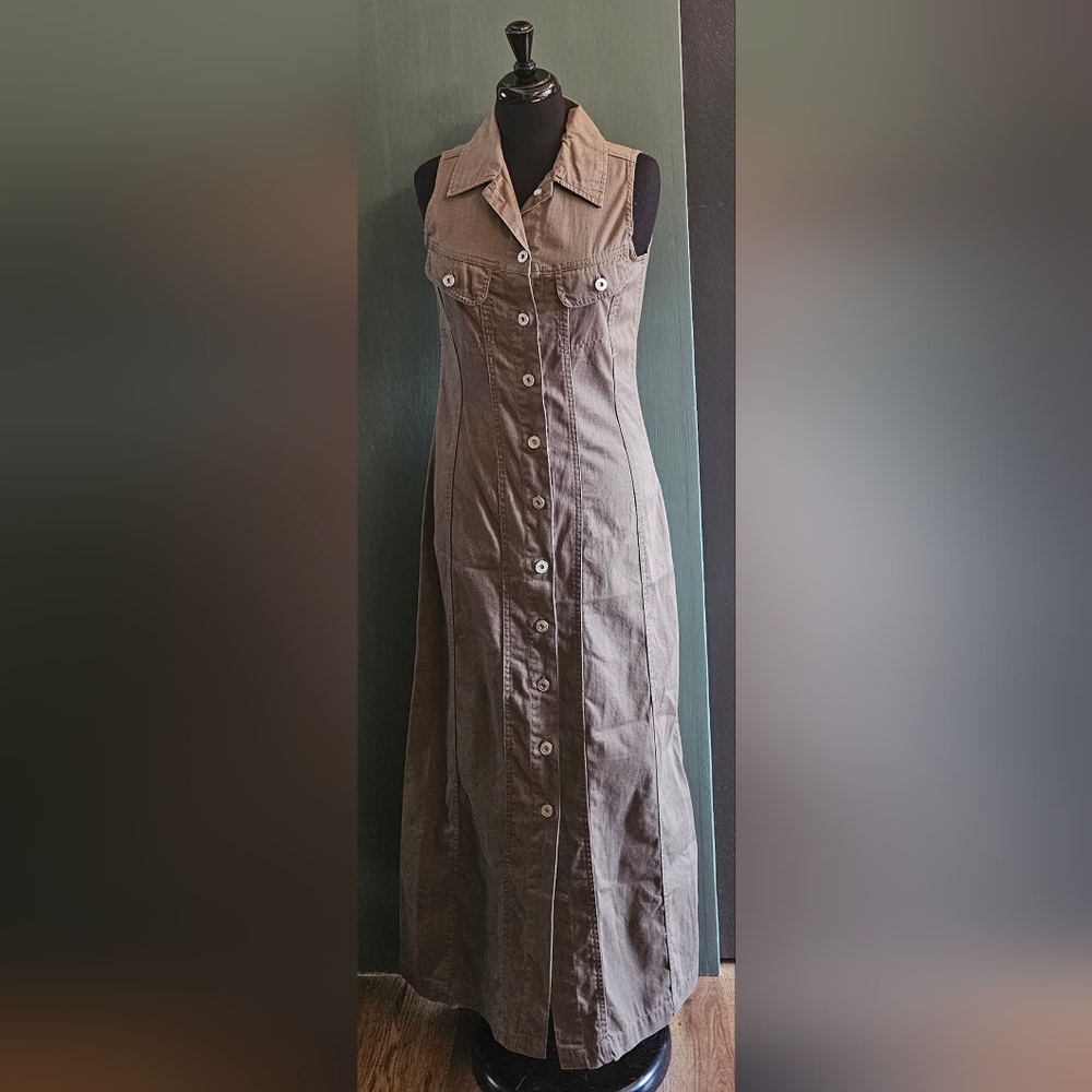 Ripe Green Denim Dress